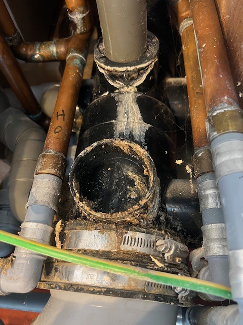 WhatsApp Image 2025-09-10 at 11.46.35 (3)