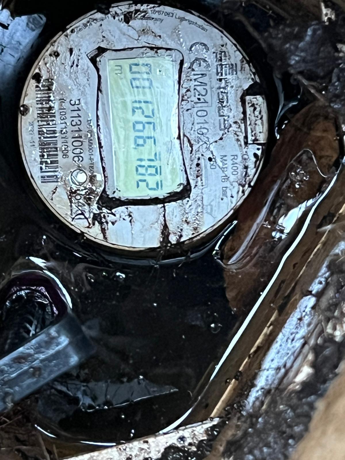 917a0142-ad59-475c-9f37-8469a407e764